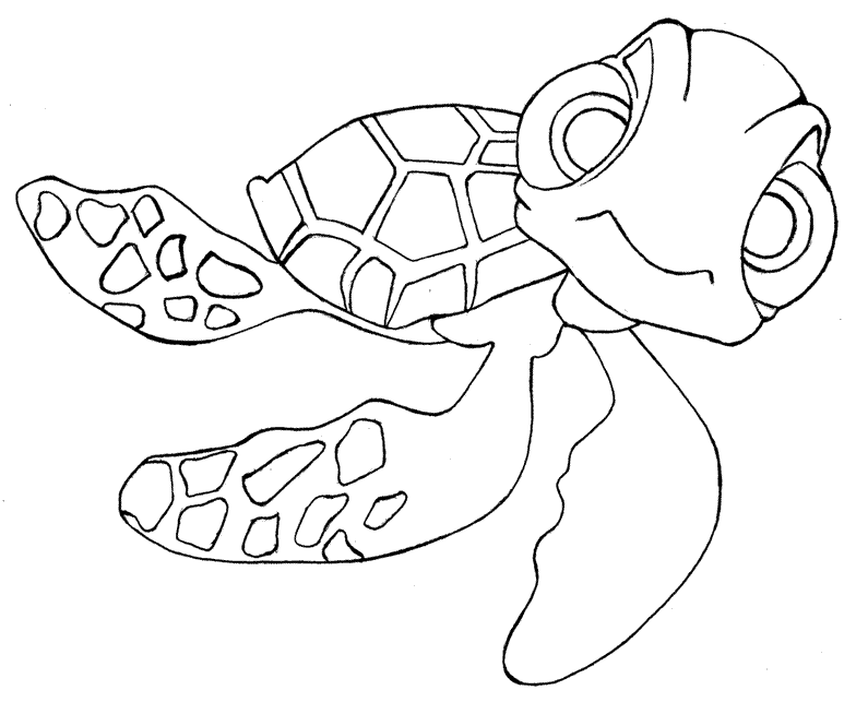 Tortuga #9624