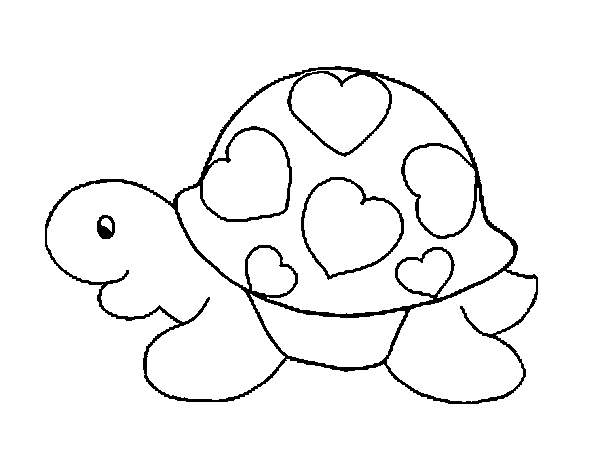 Tortuga #9627