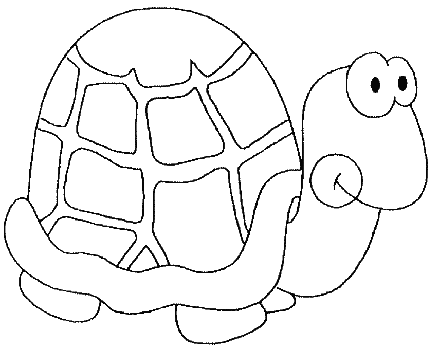 Tortuga #9634