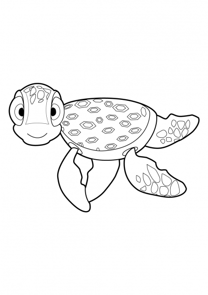 Tortuga #9636