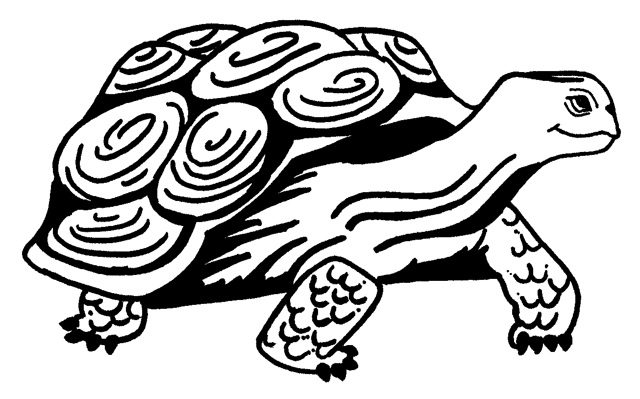 Tortuga #9640