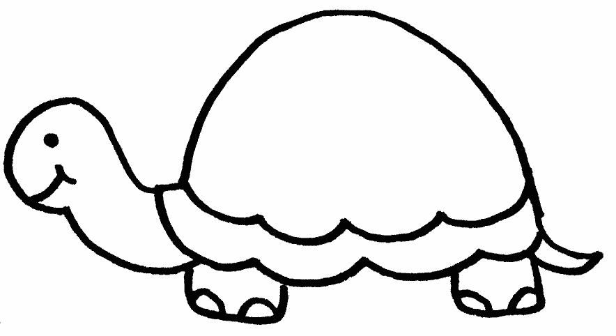 Tortuga #9641