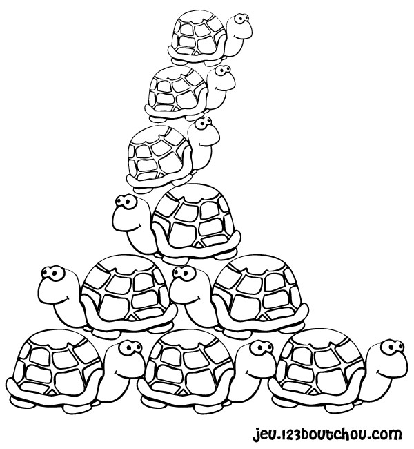 Tortuga #9642