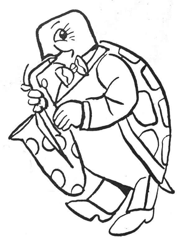 Tortuga #9648
