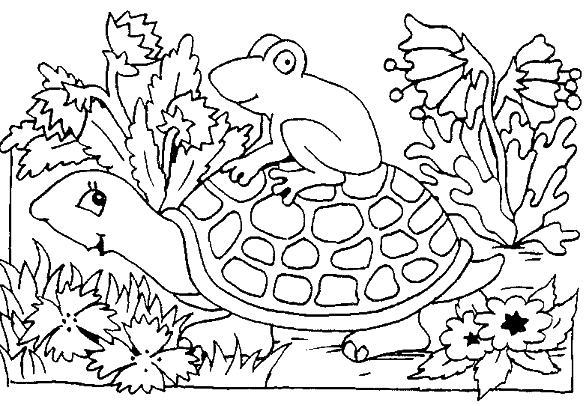 Tortuga #9650