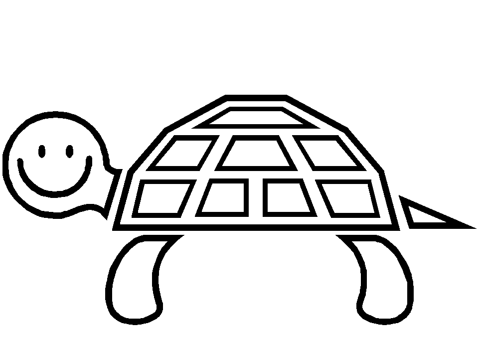 Tortuga #9656