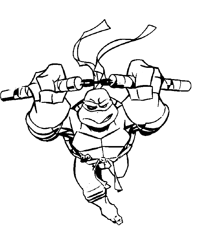 Tortuga #9666