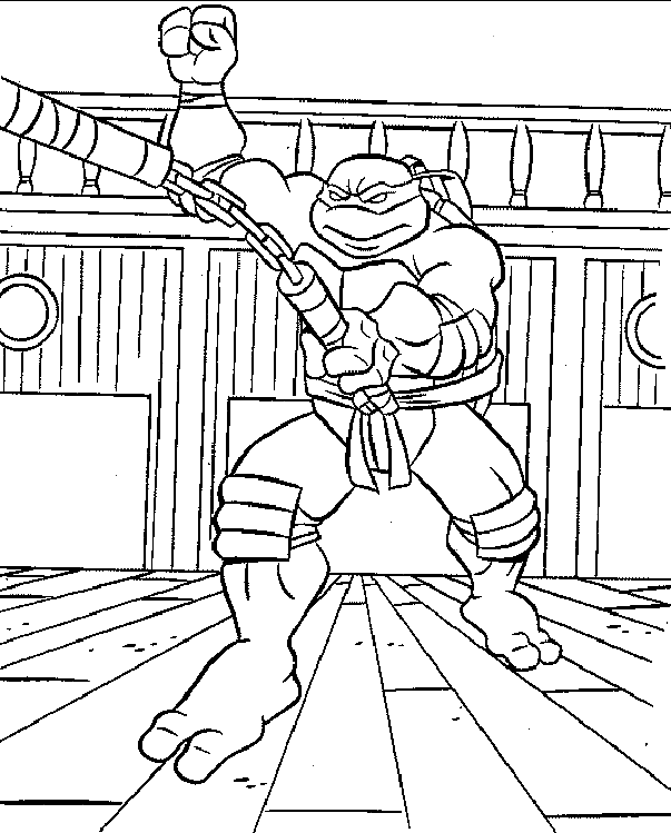 Tortuga #9669