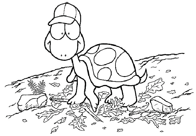 Tortuga #9688