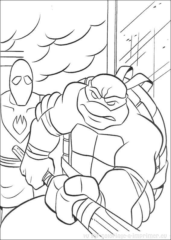 Tortuga #9702