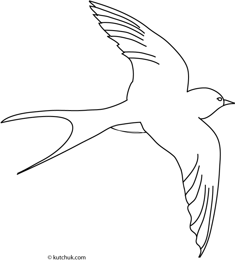 Golondrina #9705