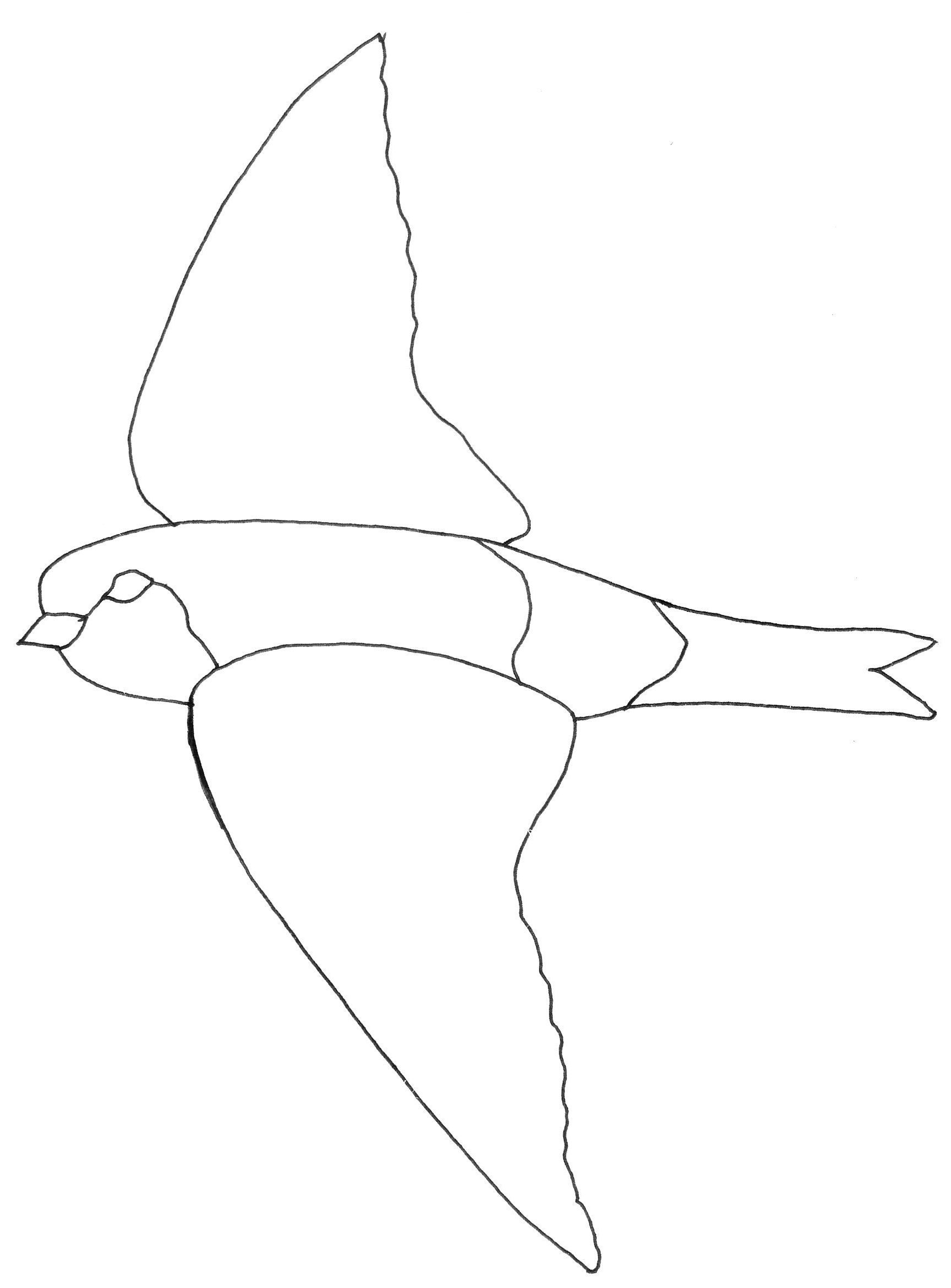 Golondrina #9708