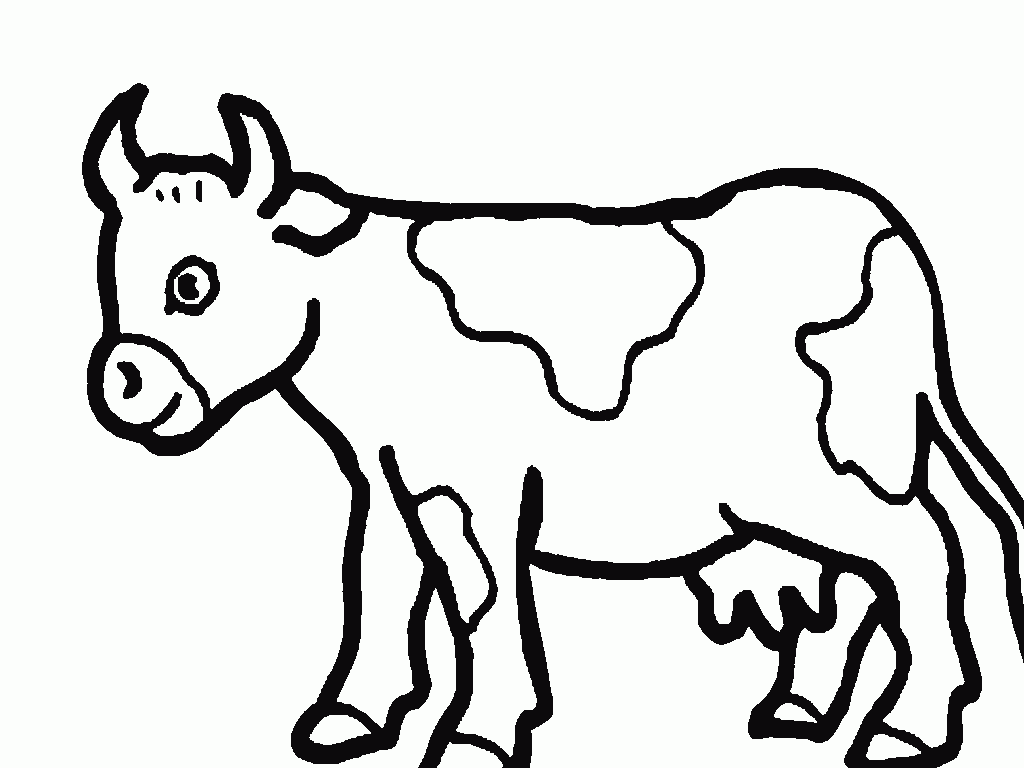 Vaca #9716