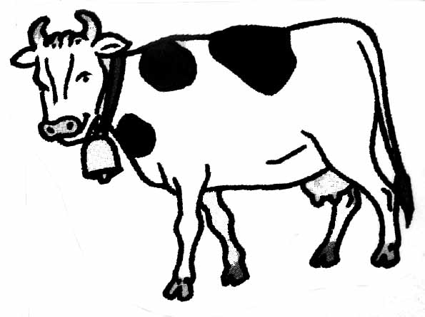 Vaca #9717