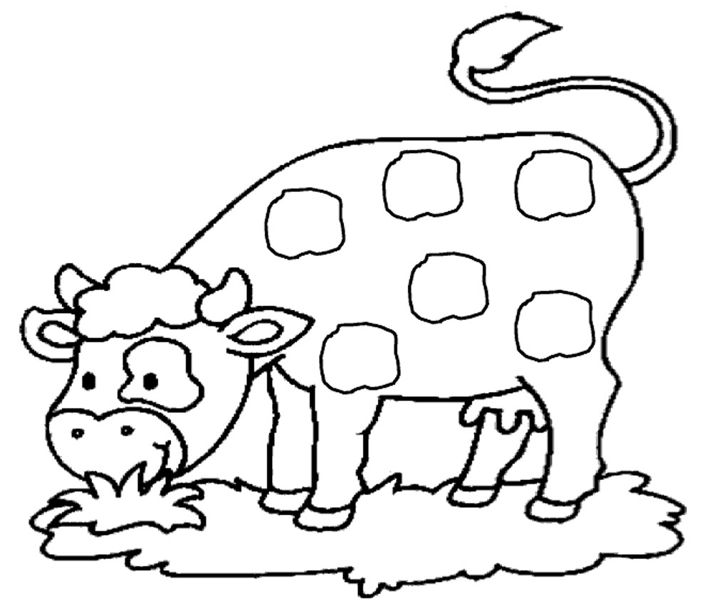 Vaca #9721