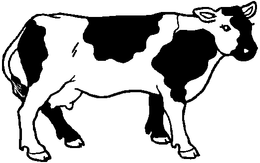 Vaca #9722