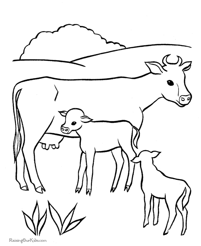 Vaca #9723