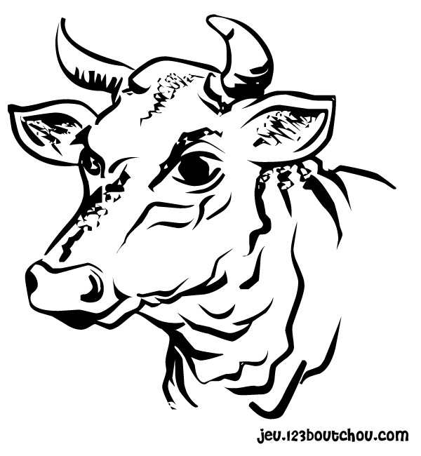 Vaca #9726