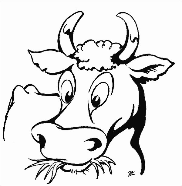 Vaca #9731