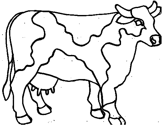 Vaca #9733