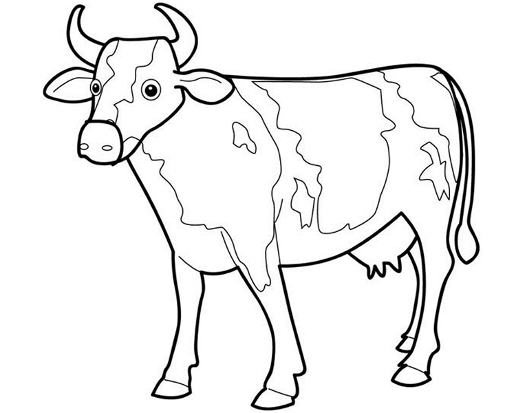 Vaca #9734