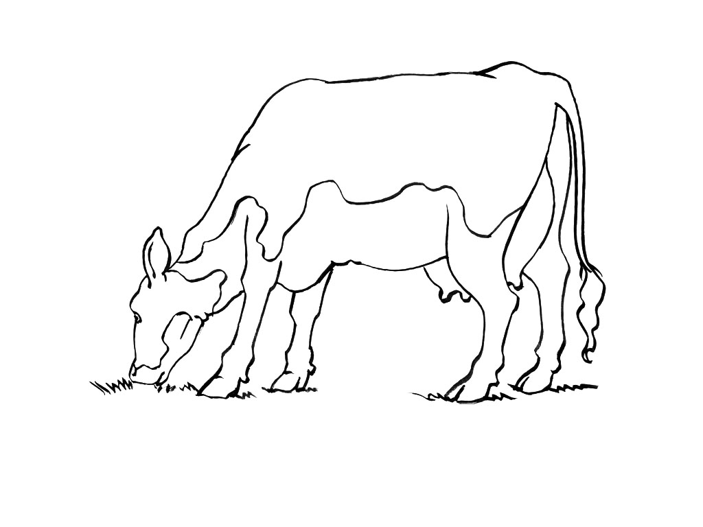 Vaca #9738