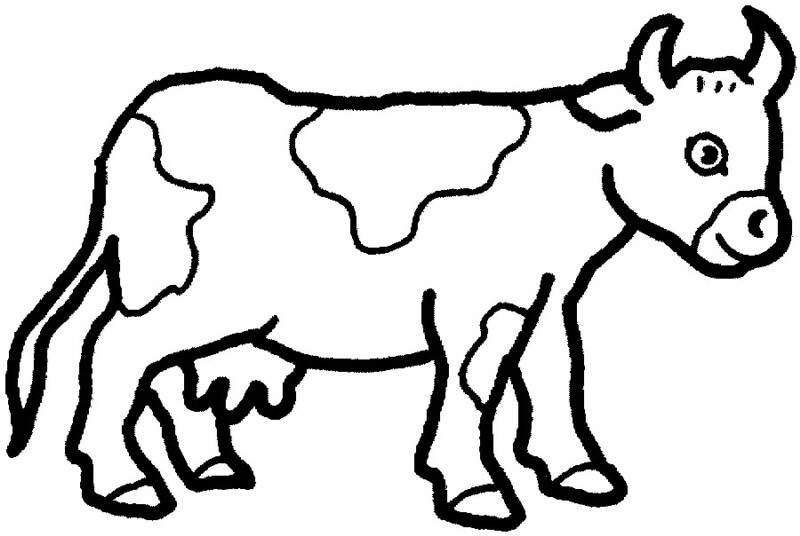 Vaca #9740