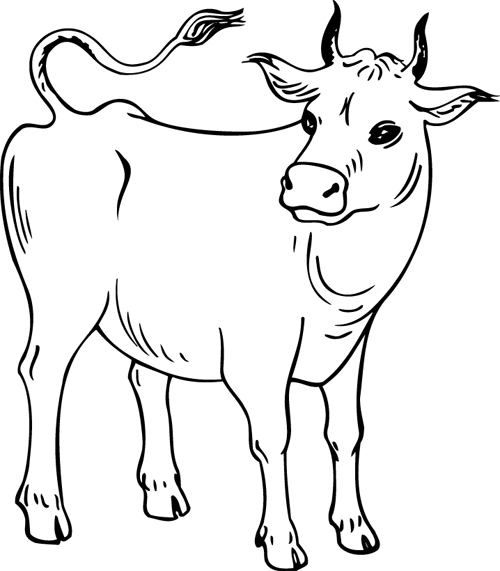 Vaca #9746