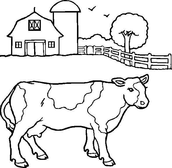 Vaca #9751