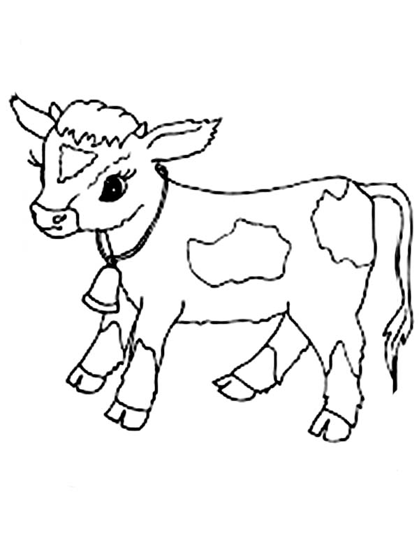 Vaca #9753