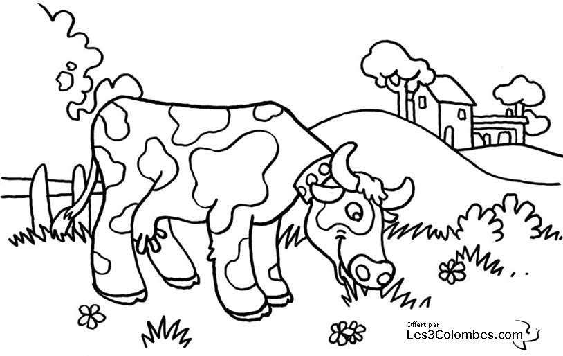 Vaca #9758