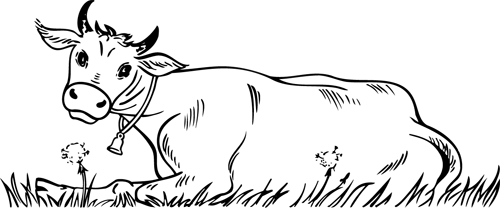 Vaca #9759