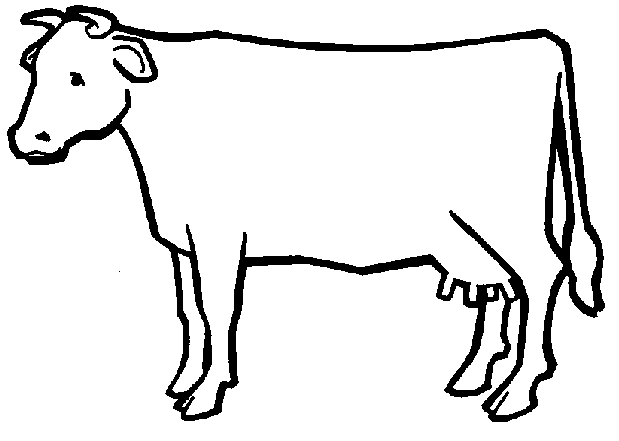 Vaca #9767