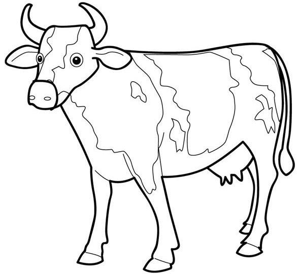 Vaca #9771