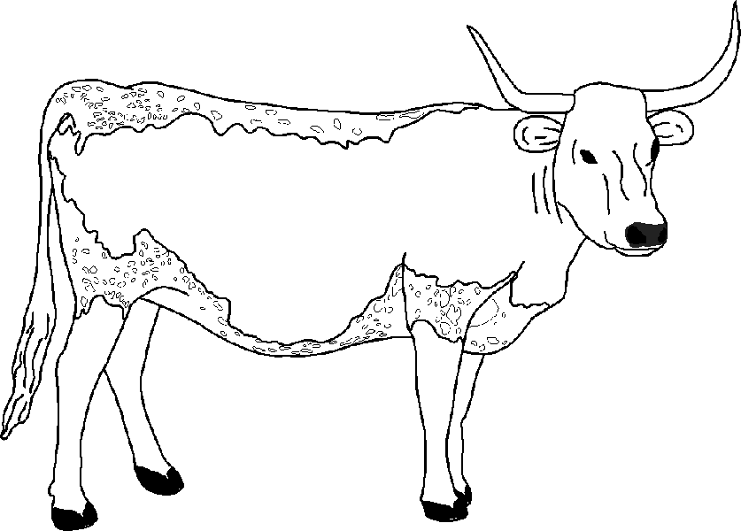 Vaca #9773