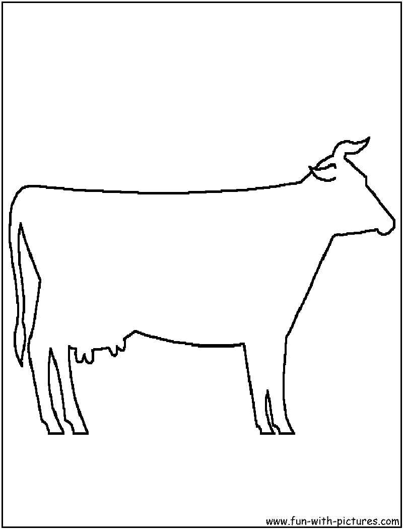Vaca #9776