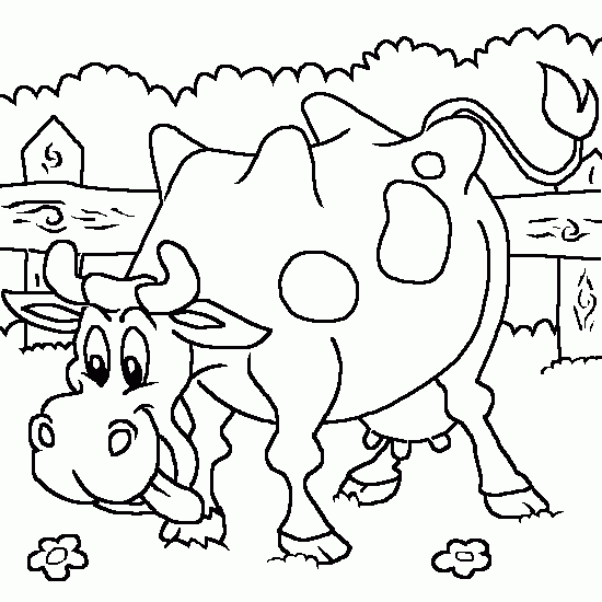 Vaca #9787