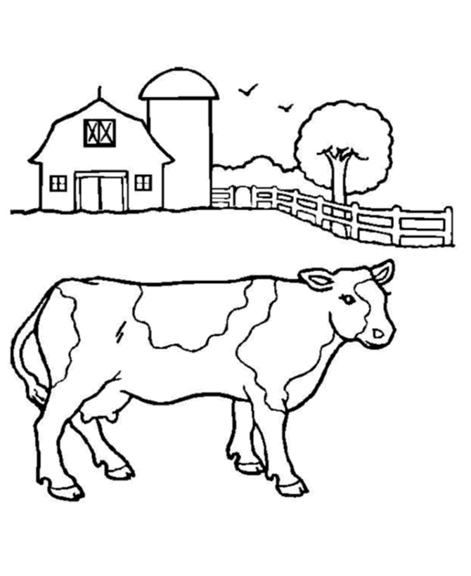 Vaca #9791