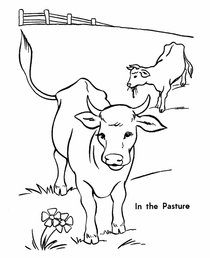 Vaca #9792