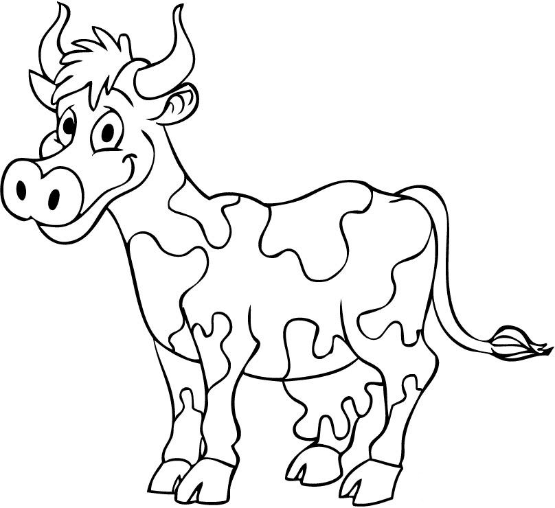 Vaca #9794