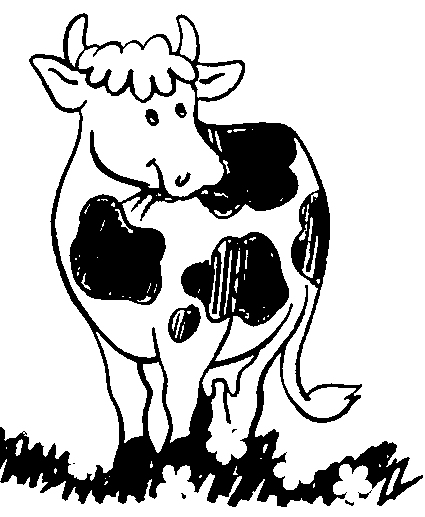 Vaca #9796