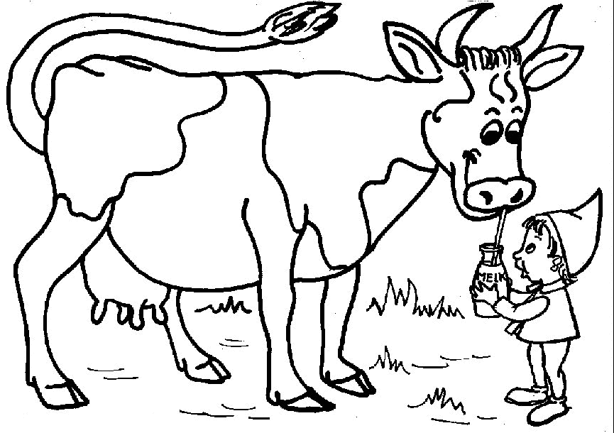 Vaca #9798