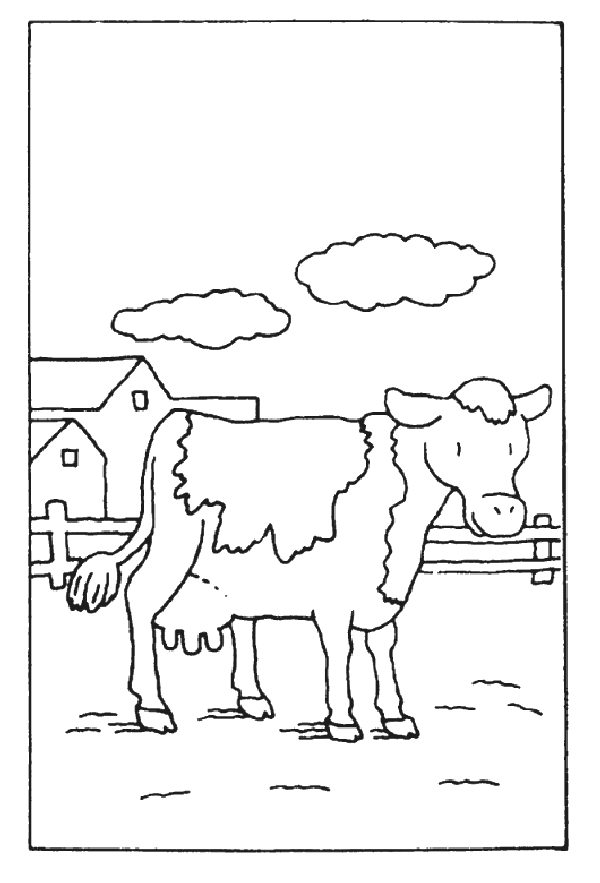Vaca #9800