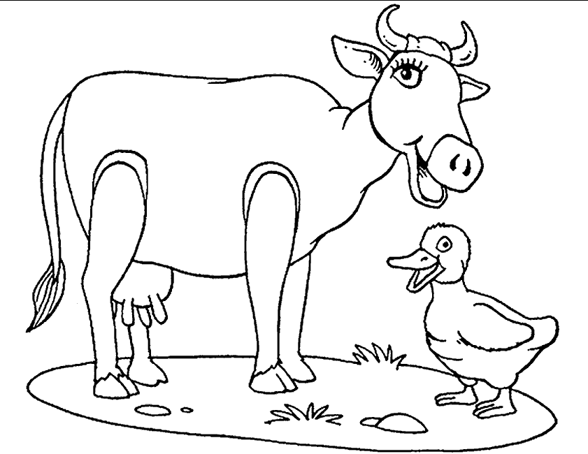 Vaca #9809