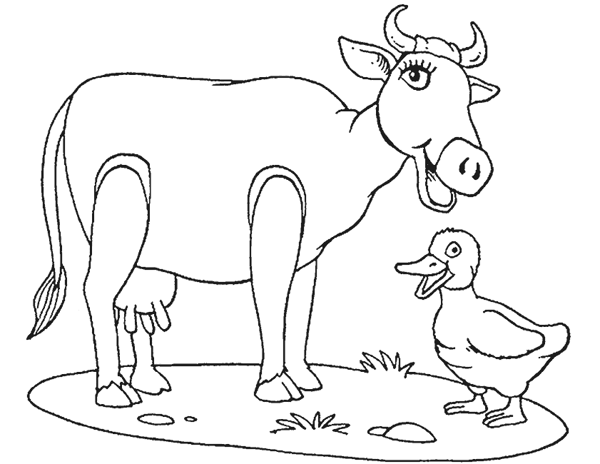Vaca #9810