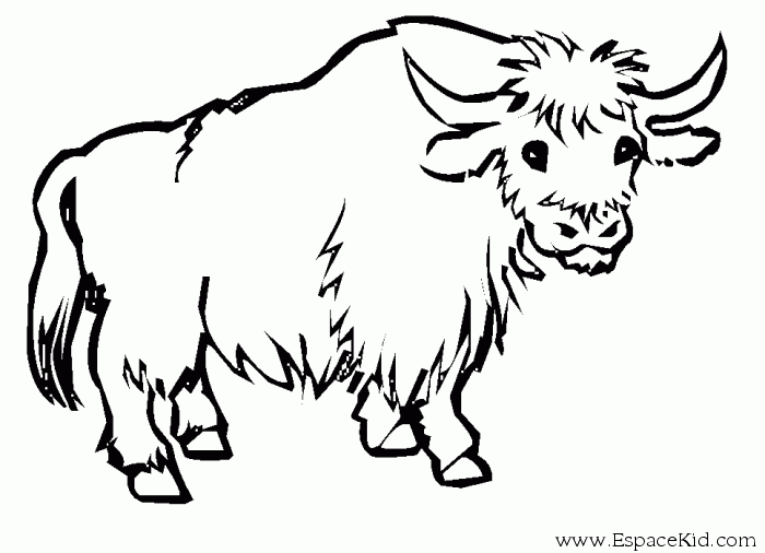 Vaca #9813