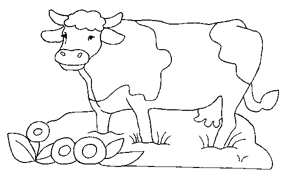 Vaca #9818