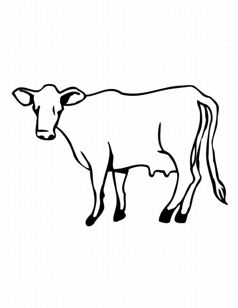 Vaca #9822