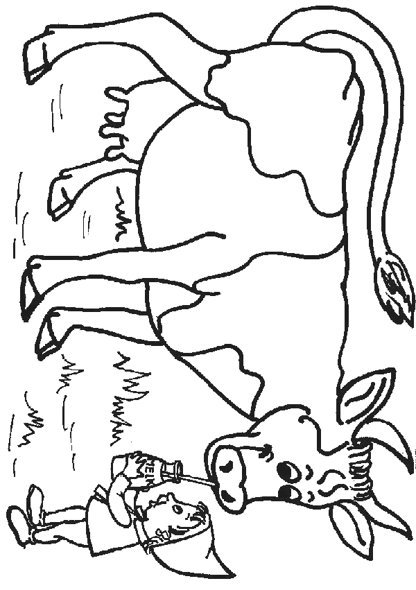 Vaca #9833