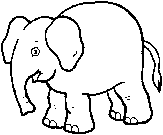 Zoo #10004